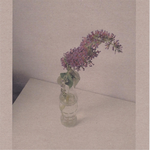 朱竹清把乳夹乖乖戴上被迫调教
